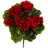 Geranium Bush Silk Plant