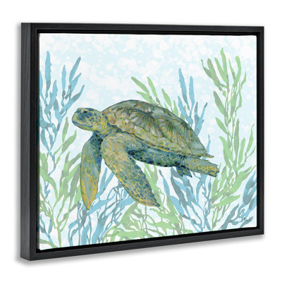 Tortue Tasman dans un cadre flottant en ruppie maritime, design par Paul Brent