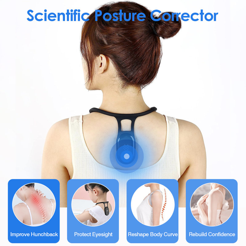 Edge Collections Back Support, Black