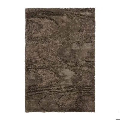 Areva Shag Brown Area Rug