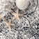 Castiglia Floral Indoor Rug