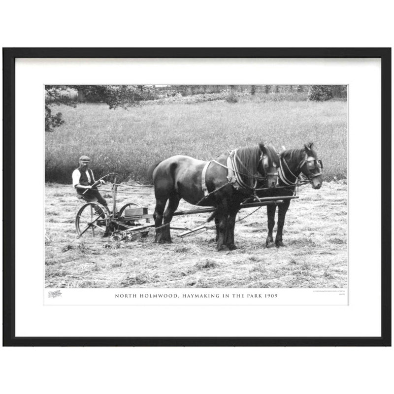North Holmwood, Haymaking In The Park 1909 by Francis Frith - Single Picture Frame Print, 28cm H x 36cm W x 2.3cm D