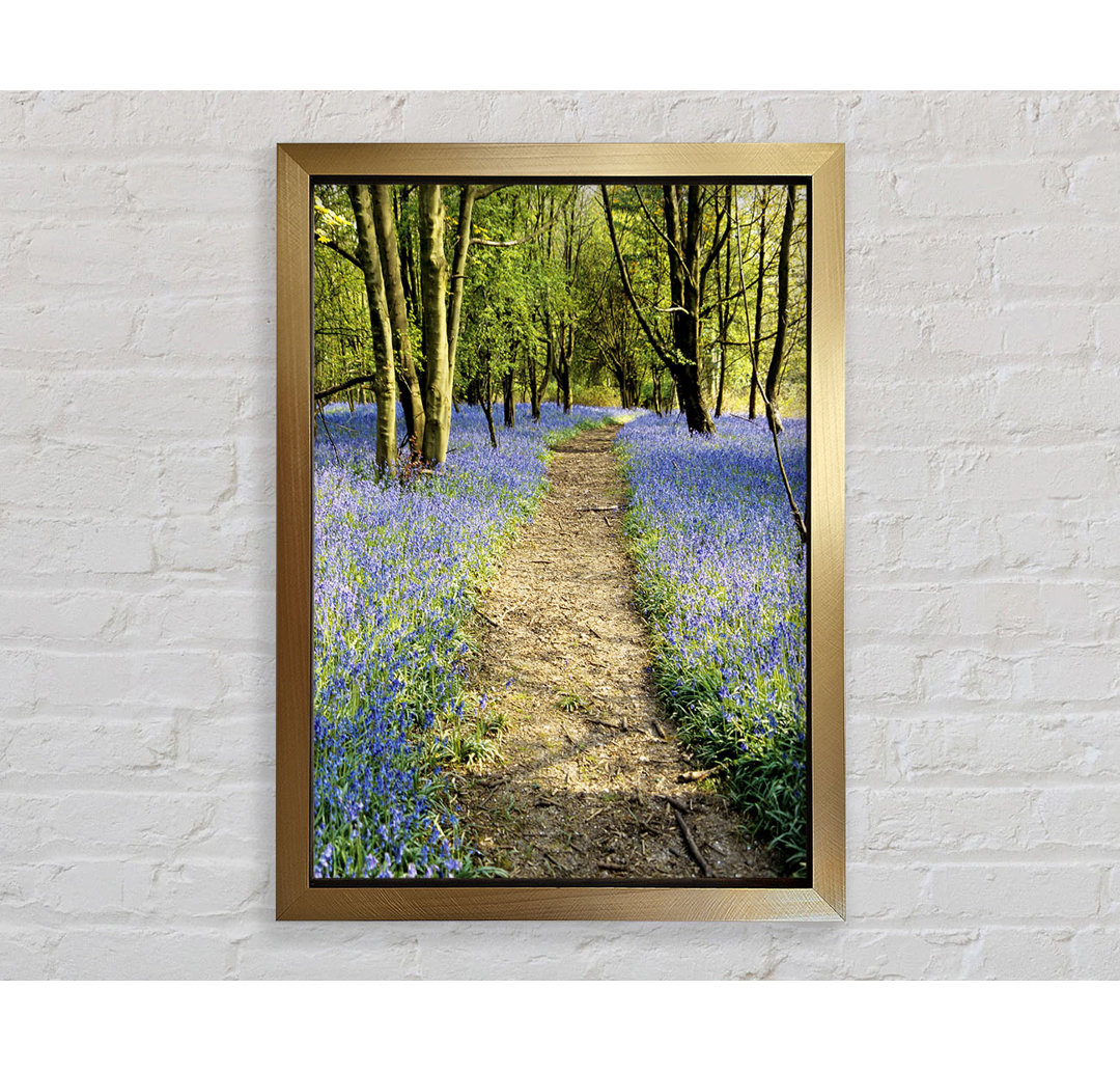 Bluebell Path - Drucken