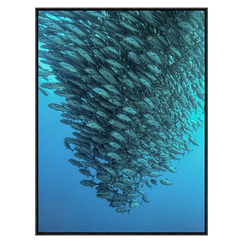 " Schooling Jackfishes ", 30" H x 22.5" W x 1.5" D