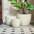 Set of 3 Ceramic Flowerpot, Modern Planter for Patio, Garden, Windowsill-640276452