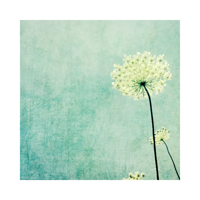 Efflorescence by Lupen Grainne - Wrapped Canvas Print, 30.48 cm H x 30.48 cm W