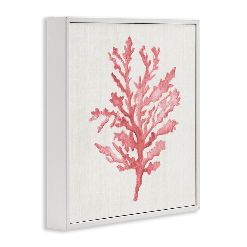 Estampe numérique Rosy Pink Coral Branch, design par Janet Tava, H 12 po x l 12 po, Coastal White Giclee Framed