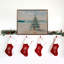 Arbre de plage-1017236842