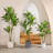 Adcock Artificial Dracaena Tree in Plastic Pot for Indoor/Outdoor Use-1187763798