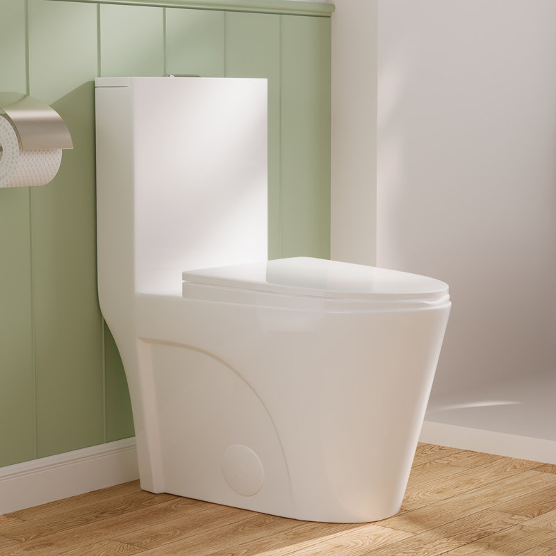 Ace 1.6 GPF Dual-Flush Toilet Modern Elongated One-Piece Toilet for Floor Mounted Glazed Surface (Seat Included), White, 10"
