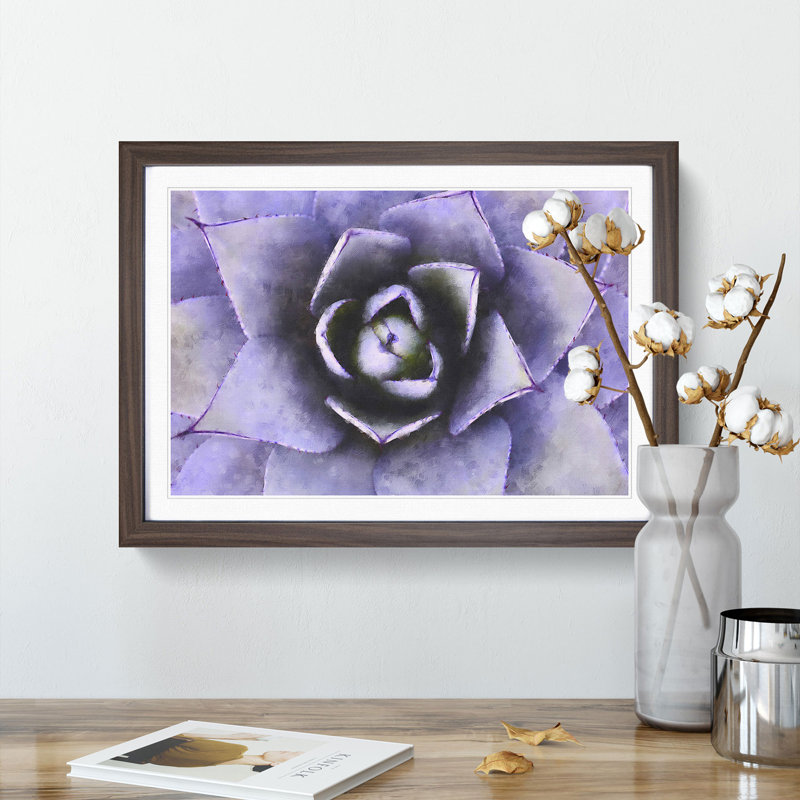 Lilac Succulent Plant - Picture Frame Graphic Art Print, Walnut Framed, 62cm H x 87cm W x 2cm D