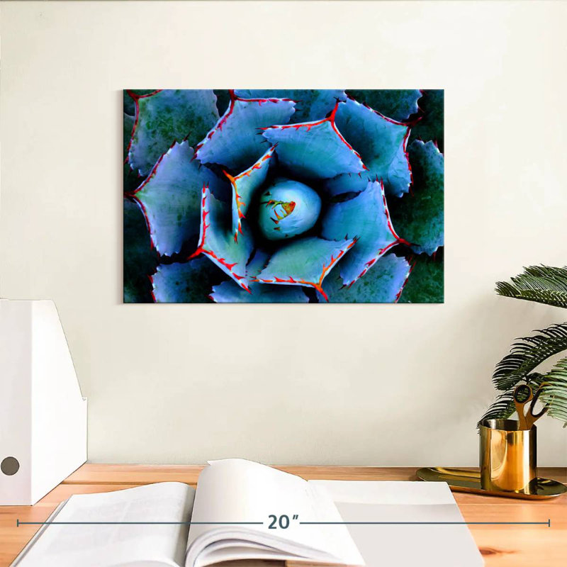 Harnek Red Lined Succulent, 8" H x 12" W