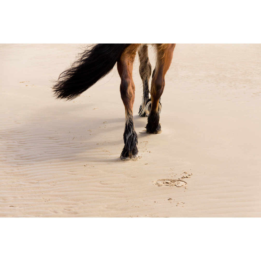 Footsteps In The Sand von Groomee - Leinwandbild