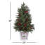 Arbre en pot 3 '