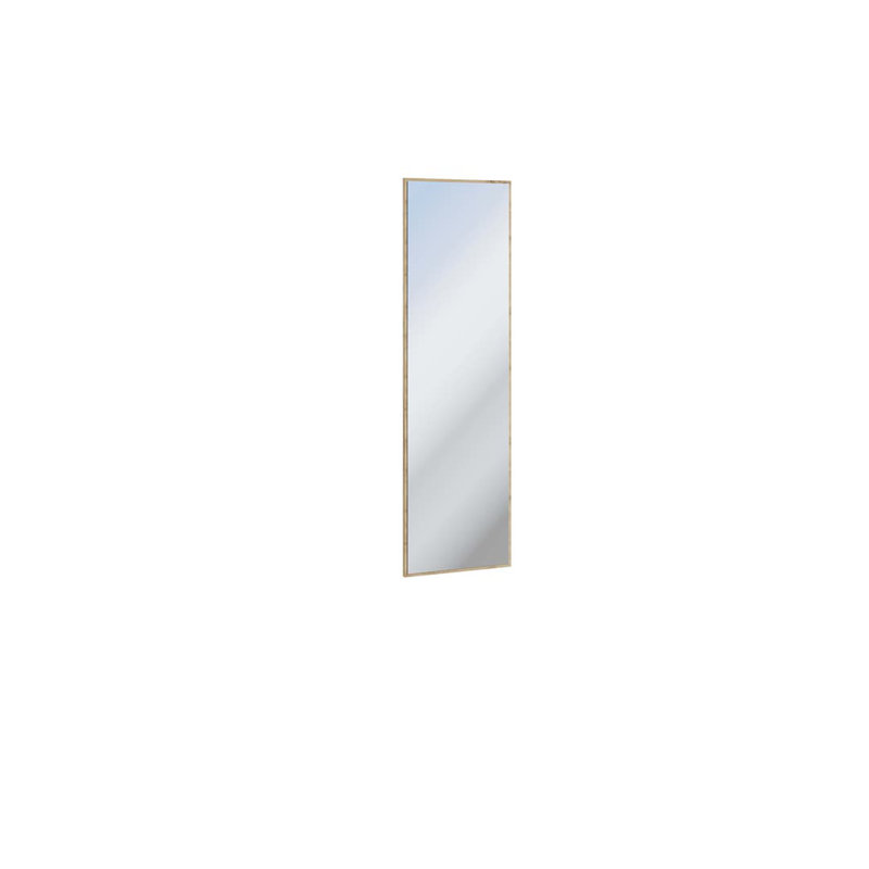 Naresh Rectangle Wall Mirror, 134 cm  H x 40 cm W