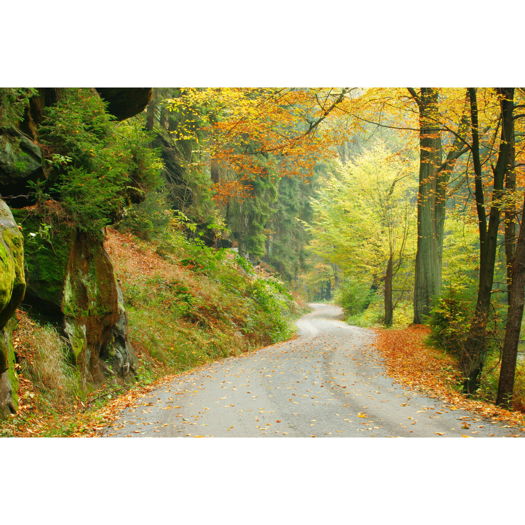 Waldstraße im Herbst V by Avtg - Druck