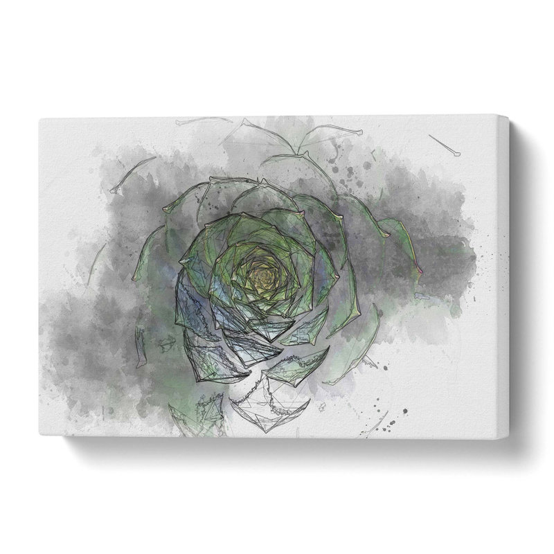 Dark Green Succulent Plant in Abstract - Wrapped Canvas, 40.6 cm H x 61 cm W