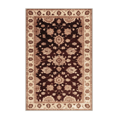 Machine Washable Overdyed Brown Area Rug