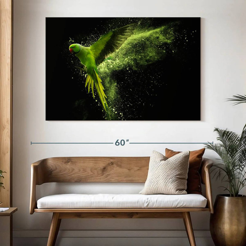 Brampt Alexandrine Parakeet, 34" H x 51" W
