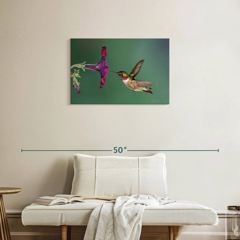 Nectar Brampt suçant un colibri, H 20 po x l 30 po