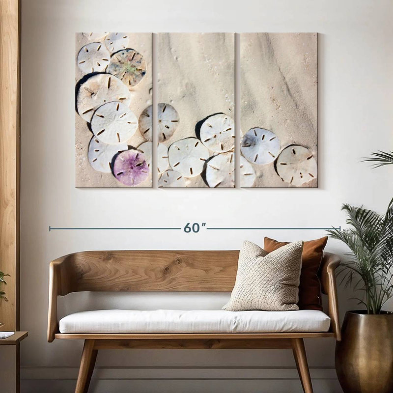 Brampt Beach Sand Dollars, 32" H x 50" W