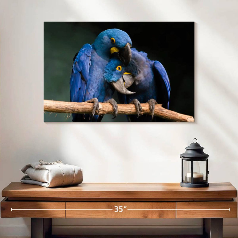 Hyacinth Blue Macaws, 16" H x 24" W