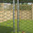 Ezariah Walk In Chicken Run-677702433