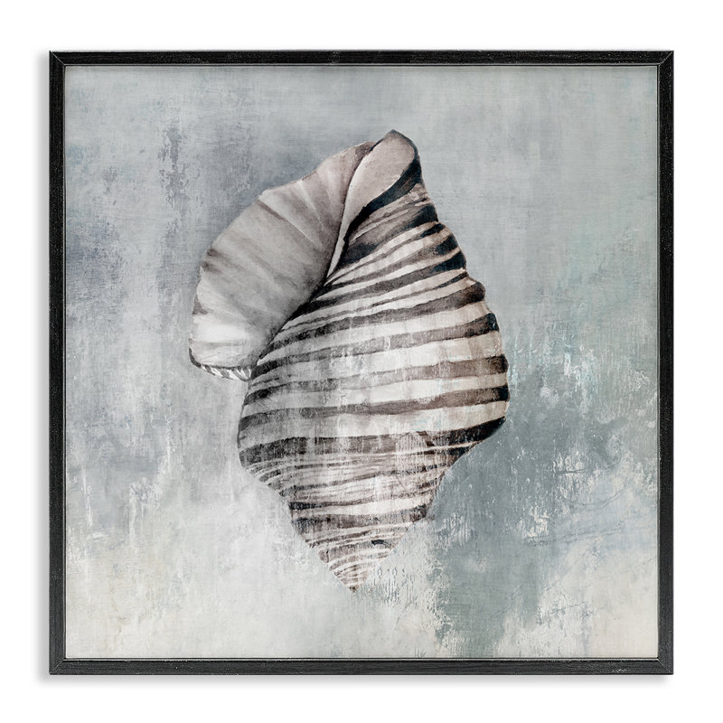  Art de giclée encadrée de coquillage torsadé biologique par Eli Jones, H 24 po x l 24 po, Giclée encadrée noir minuit