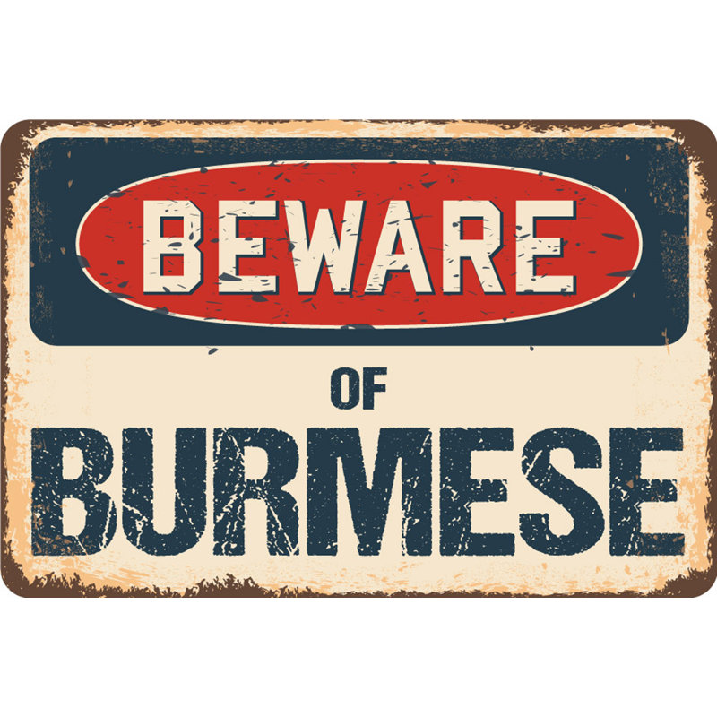 Panneau Alycia Beware of Burmese, H 6 po x l 9 po x P 0,1 po