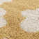Debrina Floral Shag Area Rug