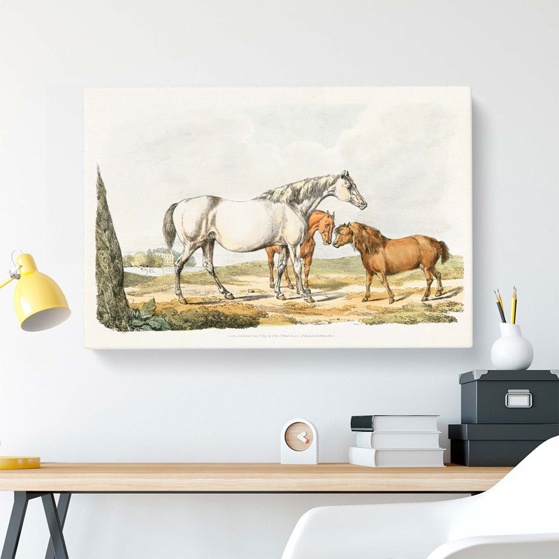 Two Horses & A Pony by Henry Alken - Wrapped Canvas, 35cm H x 50cm W x 3cm D