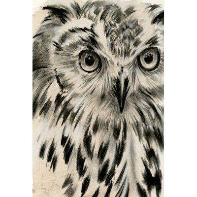 " Charcoal Owl I " by Jennifer Paxton Parker Painting Print