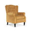 Doylestown 78cm Wide Wing Chair Recliner-688573479