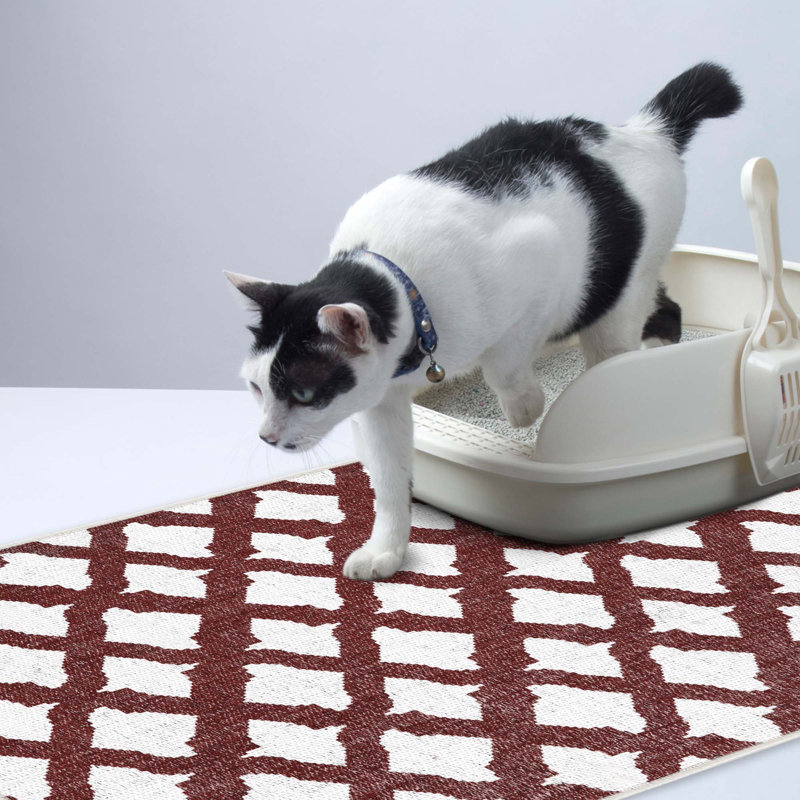 Tapis de litière, Marron