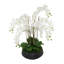 Orchid Centerpiece in Ceramic Pot-930332675