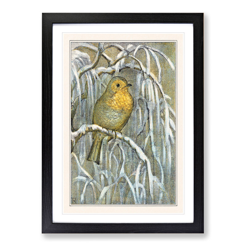 Robin Bird by Theo Van Hoytema - Picture Frame Painting, 65cm H x 48cm W x 2cm D, Black Framed