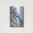 " Blue Jay 2 " Print-1157439082