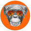 Alfaro " Monkey With Mirror Sunglasses "-35105141-35105144