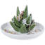 Ceramic Dish Ring Holder