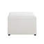 Meilich Faux Leather Accent Trunk