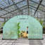 Serre l 118 po x P 236,5 po