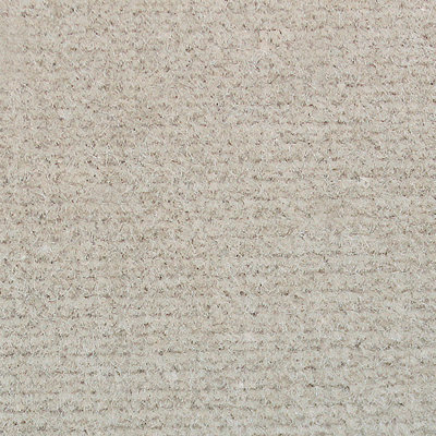 Essential Velvets Indus Fabric