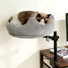 Pet Bed