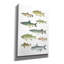 «Fresh Catch 5» par James Wiens, art mural sur toile-316863626