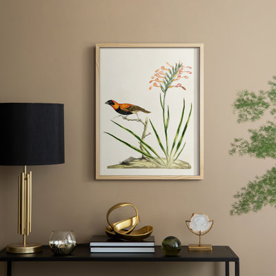 Bird in Habitat III, reproduction encadrée - bois massif