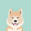 Akita, impression sur toile tendue-19741608-74737037-74737038