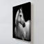Reproduction sur toile, "White Mare Drama" par Danita Delimont-1428247937
