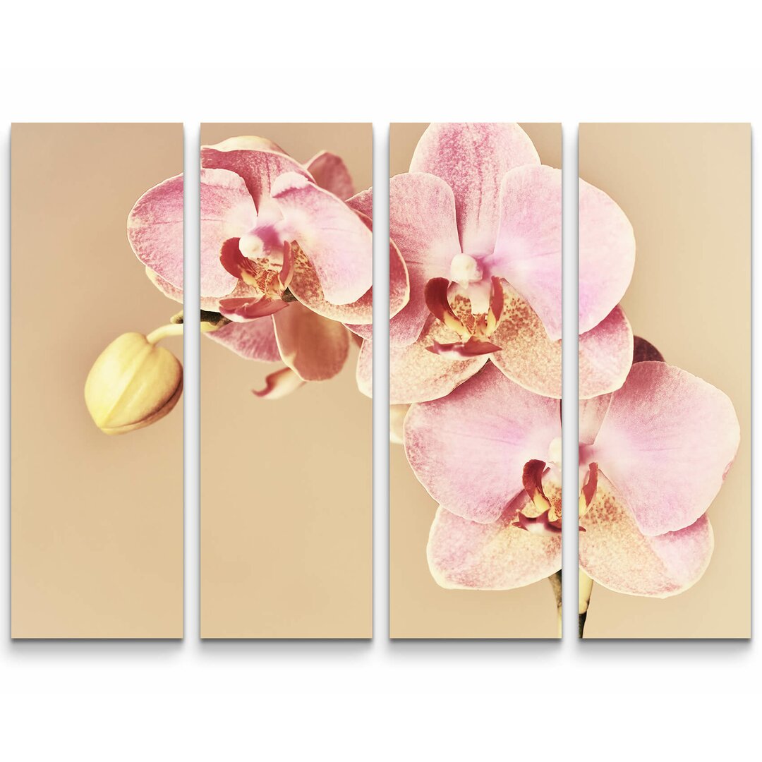 4-tlg. Leinwandbilder-Set Wunderschöne rosa Orchideenrispe