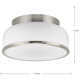 Asuna 2 Light Glass Flush Mount