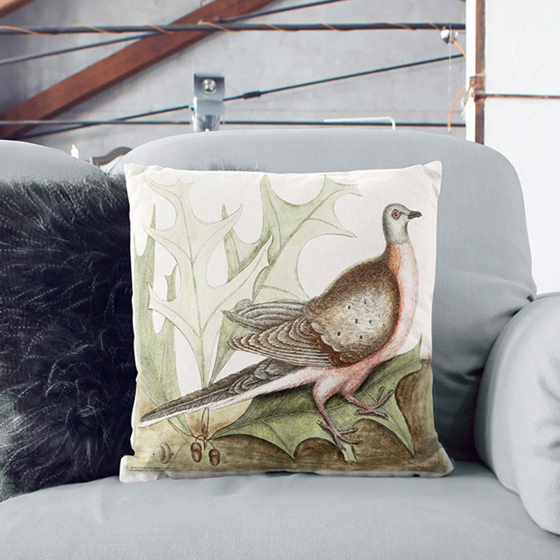 Pigeon of Passage by Mark Catesby Cushion with Filling, White, 55cm H x 55cm W x 20cm D